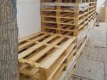 Ajman pallets  wooden - photo 1