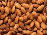 Almond nuts - фото 1