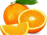 Апельсин - фото 1
