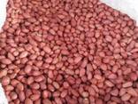 Peanuts from Uzbekistan - фото 6