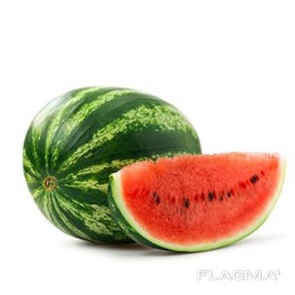 Арбузы из Узбекистана