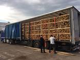 Ash/Oak Firewood - photo 3