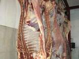 Beef, Cow, Veal / Halal - photo 4