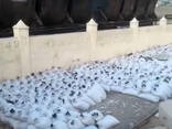 Bituminous Mastic MBR-65 (based on 60/90 bitumen, origin: Turkmenistan) - photo 7