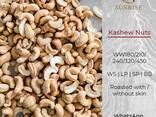 Cashew Nuts from Vietnam - фото 1