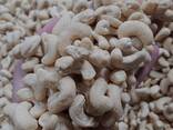 Cashew Nuts from Vietnam - photo 3