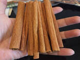 Cassia Stick / Powder from Vietnam - фото 8