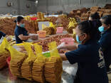 Cassia Stick / Powder from Vietnam - фото 12