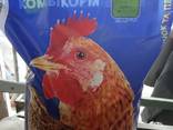 Compound Feed for Broilers - Best Mix - photo 2
