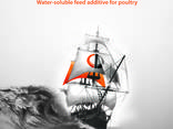 Feed additive for poultry "FeedPower" - фото 1
