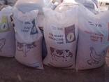 Organic Animal Feeds for Poultry and Livestock - фото 3