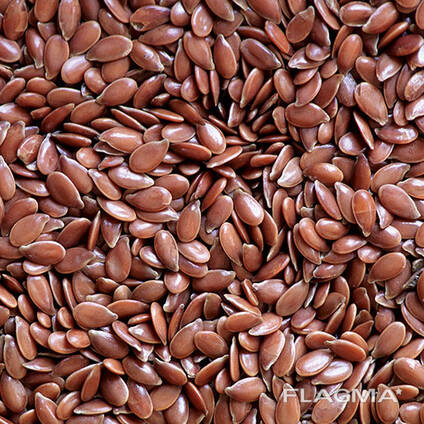 Flax harvest 2024