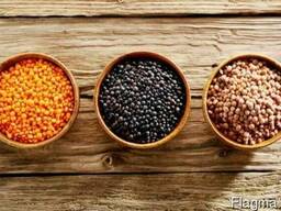 For sale: chickpeas, lentils, peas
