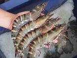 Fresh Shrimps - фото 2