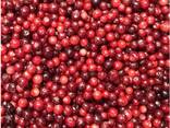 Frozen berries, fruits, berry-fruit and compote mixes. - photo 5