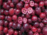 Frozen berries, fruits, berry-fruit and compote mixes. - photo 6