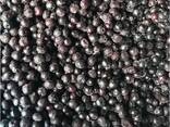 Frozen berries, fruits, berry-fruit and compote mixes. - photo 7