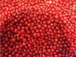 Frozen berries, fruits, berry-fruit and compote mixes. - photo 9