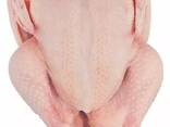 Frozen chicken breast/Hot Selling Frozen Chicken Breast For Sale - photo 1