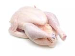 Frozen chicken breast/Hot Selling Frozen Chicken Breast For Sale - photo 3