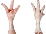Frozen Chicken Feet - фото 1