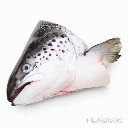 Frozen salmon