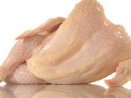 Halal Frozen Chicken Feet Paws Claws and Whole Grade A for Export