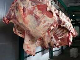 Halal Meat Beef Half/Quarter Carcasses