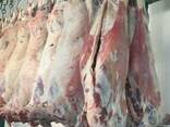 Halal Meat Mutton (Lamb) wholesale export - photo 1