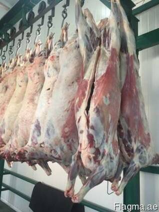 Halal Meat Mutton (Lamb) wholesale export