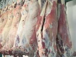 Halal Meat Mutton (Lamb) wholesale export