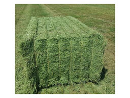 High Quality Buy Alfafa Hay Animal Feeding Stuff Alfalfa Hay Pellets Timothy Hay for Rabbi