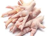 High Quality Chicken Paws/Wholesale Frozen Chicken Feet for Sale at Best Price - photo 1