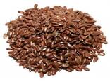 Feed With. Kazakhstan. - фото 8
