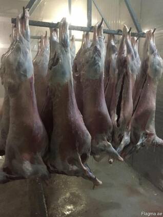 Mutton (export of lamb to UAE)