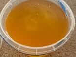 Natural Flower Honey Wholesale from the Manufacturer! Ukraine - фото 2