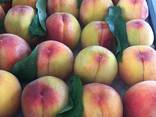 Nektarin peach нектарины и персики - фото 8