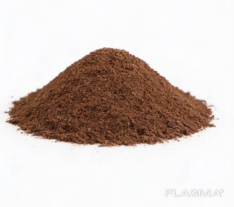 BY sphagnum peat — we export, we operate officially