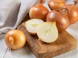 Onion - фото 1