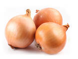 Onion - фото 2