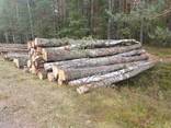 Pine sawn timber any size , Belarus - photo 6