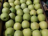 Polish apples (wide range of varieties) - фото 7
