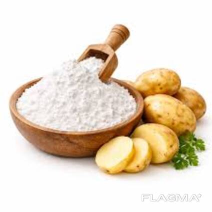 Potato starch produced in Belarus,