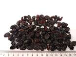 Raisins Red-Black (confectionery) - фото 2