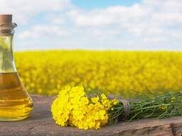 Rapeseed oil from Belarus for Export