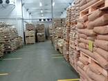 Whole Milk Powder / Full Cream Milk Powder - фото 2