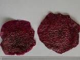Soft Dry Tropical Fruits from Vietnam - фото 5