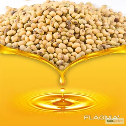 Soybean Oil