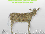 Specialized granulated feed concentrate "Granufeed" - photo 1