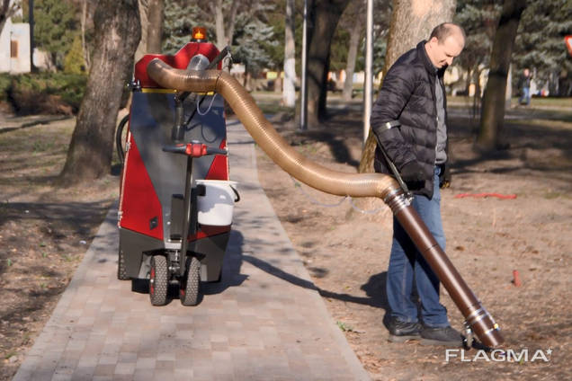 Street Vacuum Cleaner City Ant